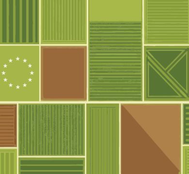 How the EU-ETS could reshape European farming; Implications for an Irish Farmer