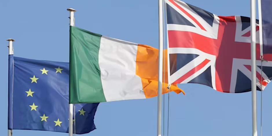 A webinar presentation on the future of the Northern Ireland Protocol 