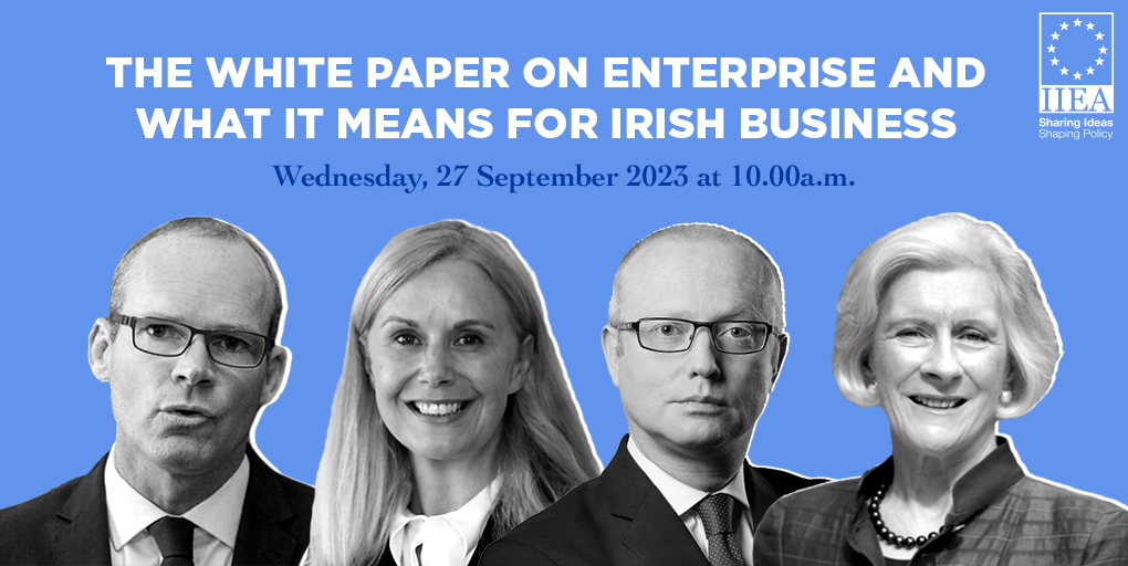 The White Paper on Enterprise and What It Means for Irish Business