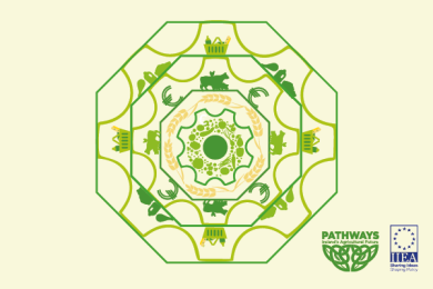 Farm to Finance: The Processor-Farmer Nexus in Ireland’s Agricultural Climate Transition