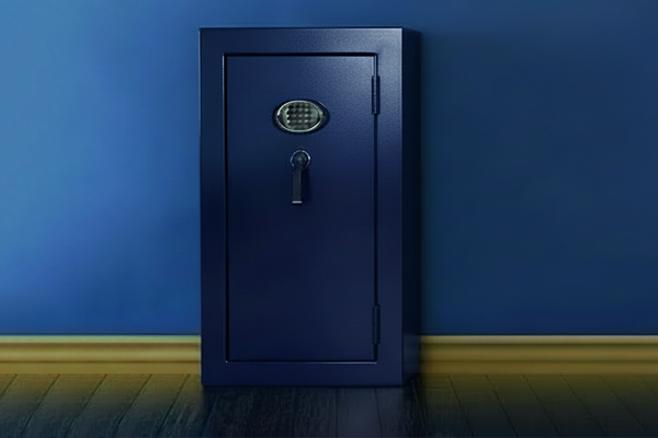 The European Union in 12 Objects &nbsp; 8. A Safe