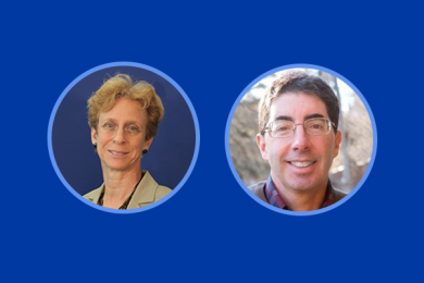 Transatlantic Tech Policy Turbulence: Digital Policy Dilemmas in the Transatlantic Relationship  