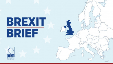 Brexit Brief 105