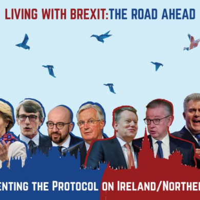 Implementing the Protocol on Ireland/Northern Ireland