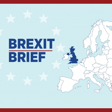 Brexit Brief 109