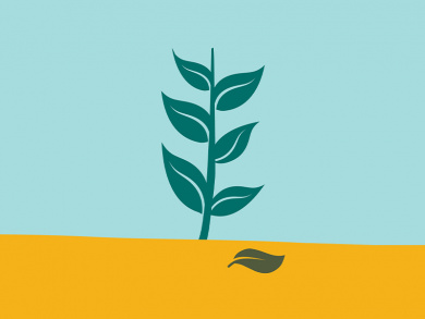 UK Agriculture and Food Policy Post Brexit: An Irish Perspective