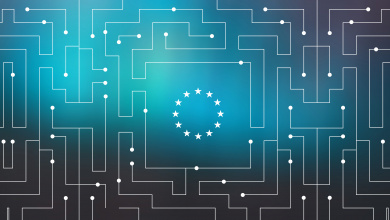 Finding a European Way: the EU’s Quest to Promote the Data Economy