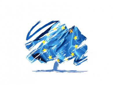 David Cameron’s European Strategy - An Initial Assessment