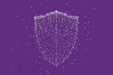 European Democracy Shield Explored