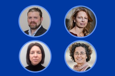 The Digital Services Act: An Initial Review 