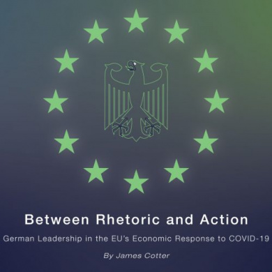 Between Rhetoric and Action: German Leadership in the EU’s Economic Response