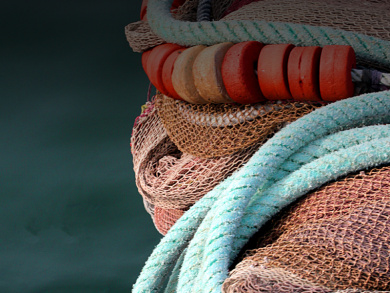 Fishing for a Future: The Reform of the Common Fisheries Policy