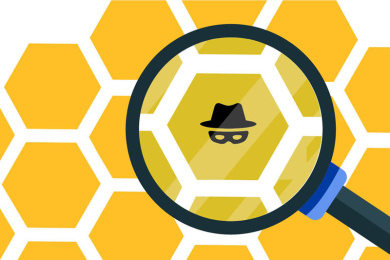 A Sticky Situation: Fraudulent Honey in the EU 