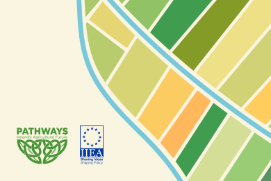 Designing Agricultural Climate Policy in Ireland from 2030 to Net Zero