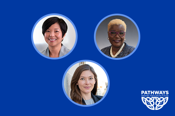 Assessing Gender, Diversity, and Power in Food System Organizations: Insights from Global Food 50/50