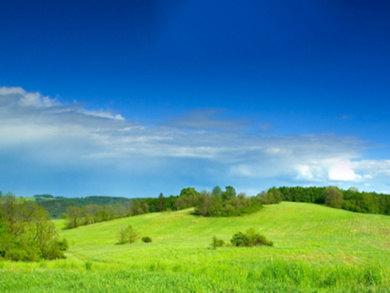 Greening CAP Payments: A Missed Opportunity?