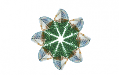 Greening the European Investment Bank