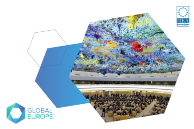 Ireland and the UN Human Rights Council – Past, Present and Future