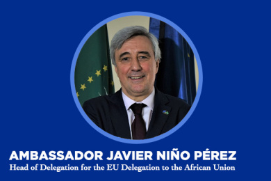 European Union & African Union Relations: A Joint Vision for 2030