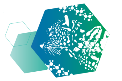 FAQs on the European Hydrogen Bank