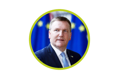 Championing Democracy and Rule of Law in the EU—An Analysis of the Portfolio of Commissioner-designate Michael Mc Grath