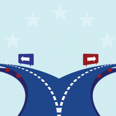 Brexit and the Implementation of the Protocol on Ireland/Northern Ireland