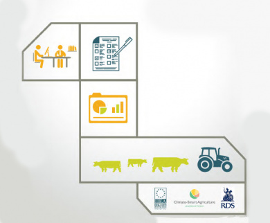 National Survey Analysis