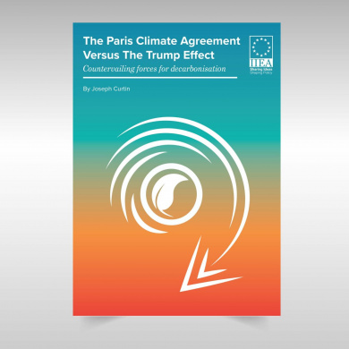 The Paris Climate Agreement versus the Trump Effect: Countervailing Forces for Decarbonisation