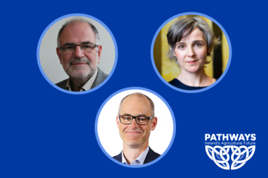 Designing Agricultural Climate Policy in Ireland - From 2030 to Net Zero