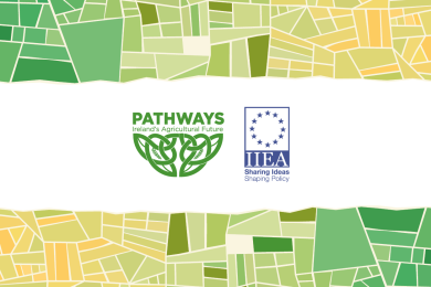 From Policy to Pasture: Bridging the Gap Between Climate Targets and Irish Agricultural Realities 