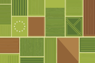 How the EU-ETS could reshape European farming; Implications for an Irish Farmer