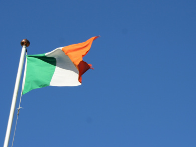 A Road Less Travelled: Reflections On The Supreme Court Rulings In Crotty, Coughlan and McKenna (No.2)