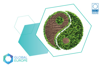 Seeking Symbiosis - Does the new Common Agricultural Policy resonate with the ambitions of the European Green Deal?