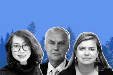 Sustainable Forestry: Combatting the Climate and Biodiversity Crises 