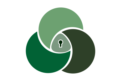 Ireland, the Triple Lock and Military Neutrality