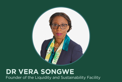 The Green Transition and the Investment Opportunity for Africa