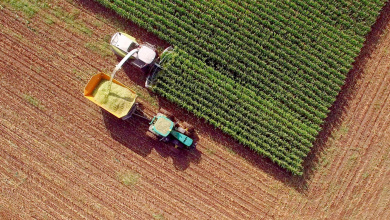 Towards a Sustainable Agriculture: Workshop on Global and EU Medium and Long-Term Policies