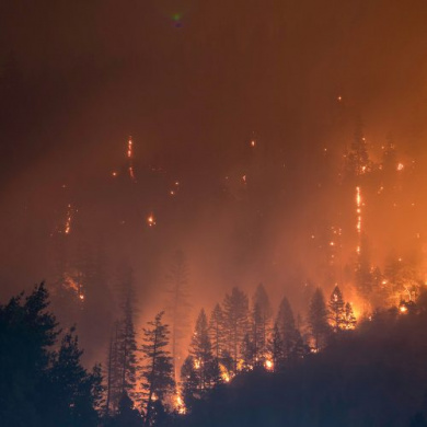 Tipping Points and Climate Impacts: We care, but when will we care enough?