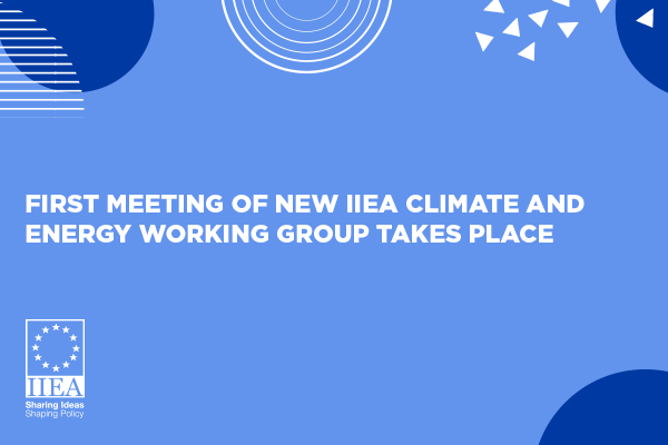 First meeting of new IIEA Climate and Energy Working Group takes place