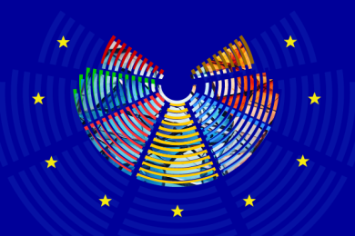 The Outcome of the European Parliament Elections – A Kaleidoscope of Combinations