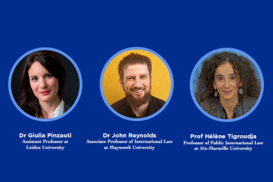 Israel/Palestine, the International Court of Justice and Ireland