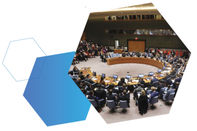 Forging a Path to Peace in Tigray: Ireland and the UN Security Council