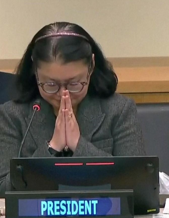 Rena Lee, Singapore's Ambassador for Oceans and Law of the Sea Issues and chair of the Intergovernmental Conference on Marine Biodiversity of Areas Beyond National Jurisdiction